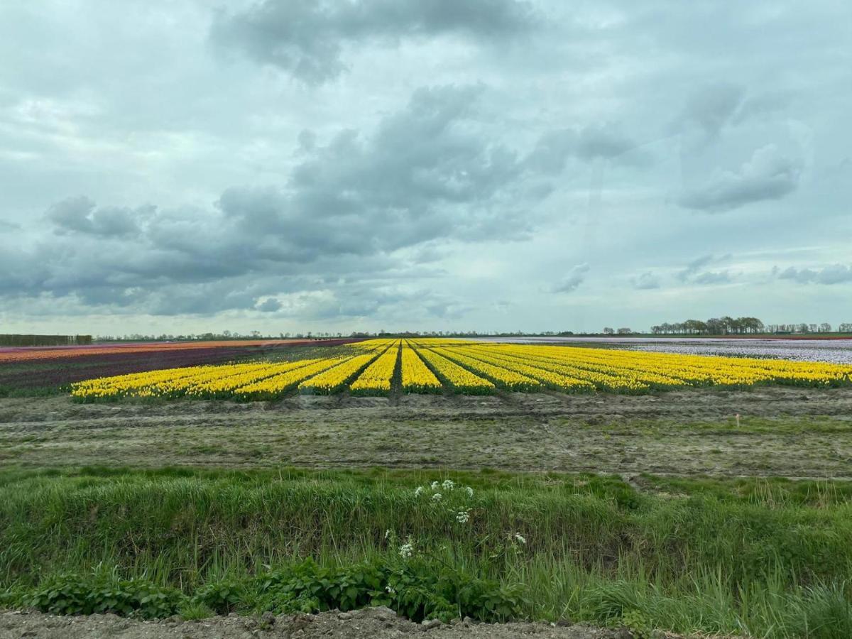 Вілла Krabbenkreek 2 Сінт-Анналанд Екстер'єр фото